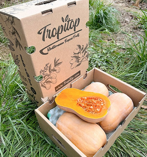 Acheter de la courge cacahuète en ligne chez Tropitop