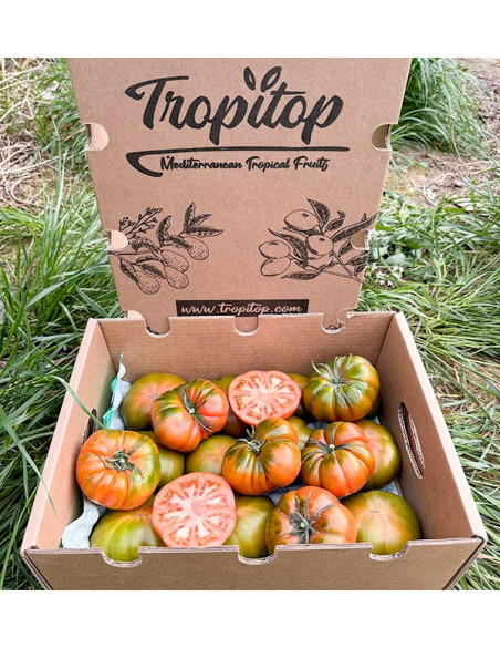 Acheter des tomates Raf en ligne chez Tropitop