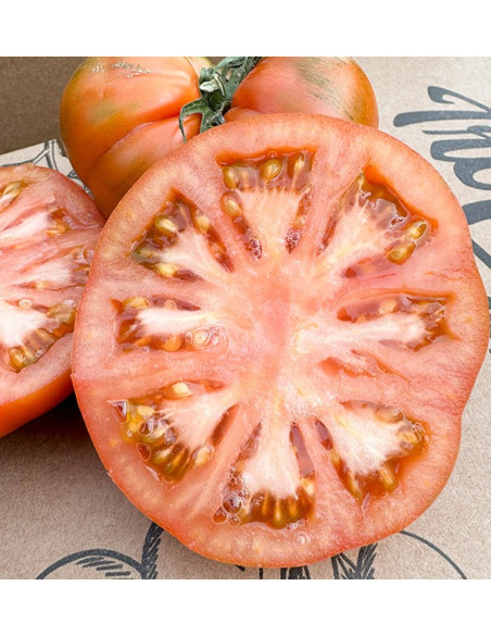 Tomaten Raf online bei Tropitop kaufen