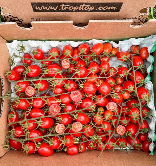 Comprar Tomates Cherry en Rama Online