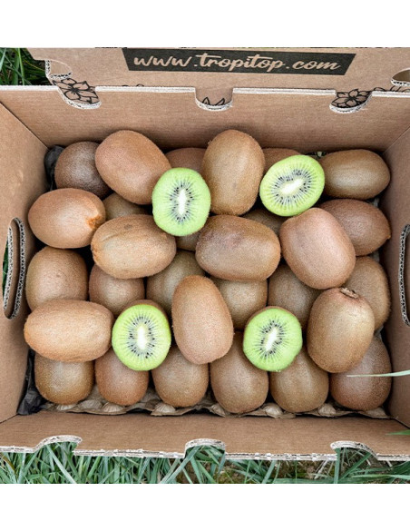 Comprar Kiwi Verde Online na Tropitop