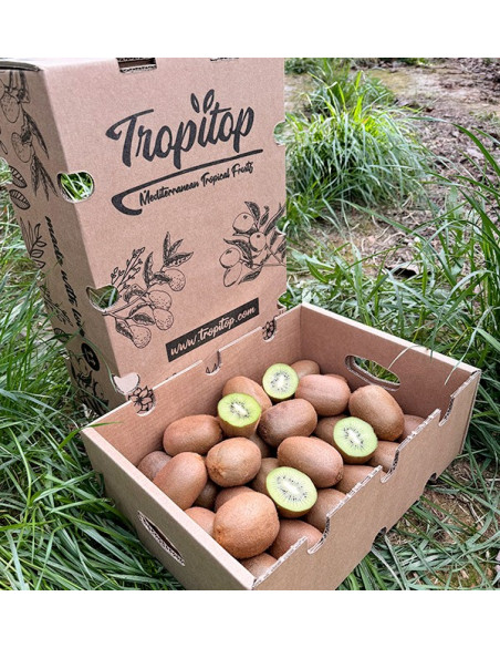 Comprar Kiwi Verde Online na Tropitop
