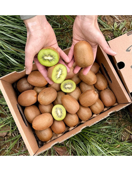 Comprar Kiwi Verde Online na Tropitop