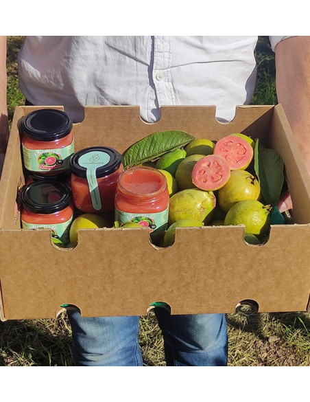 Comprar Geleia de Goiaba Natural | Artesanal e Orgânica | Tropitop