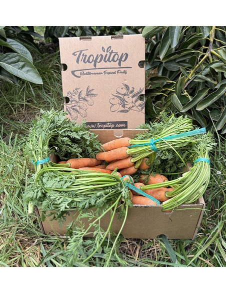 Comprar Zanahorias Online en Tropitop