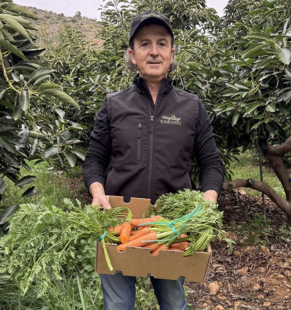 Acheter des carottes en ligne sur Tropitop