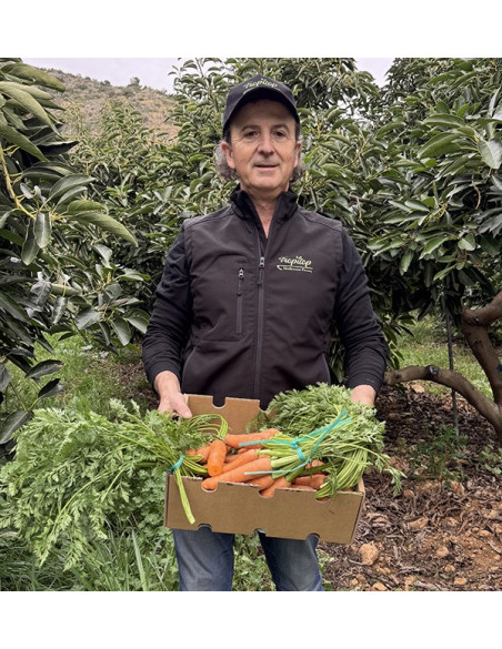 Acheter des carottes en ligne sur Tropitop