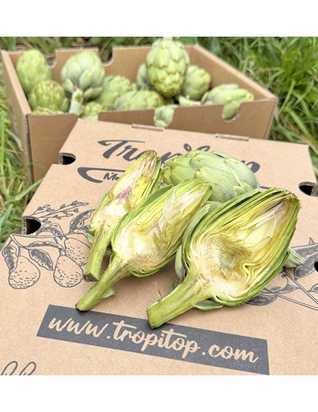Acheter des artichauts valencians en ligne chez Tropitop