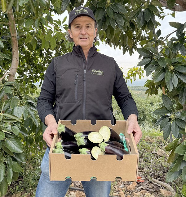 Acheter Aubergine Noire En Ligne chez Tropitop