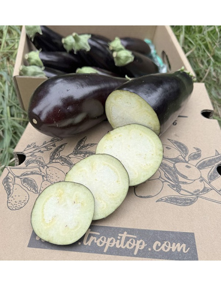 Acheter Aubergine Noire En Ligne chez Tropitop
