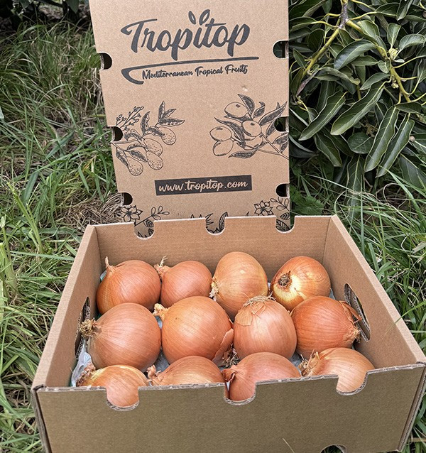 Comprar Cebollas Secas Blancas Online en Tropitop