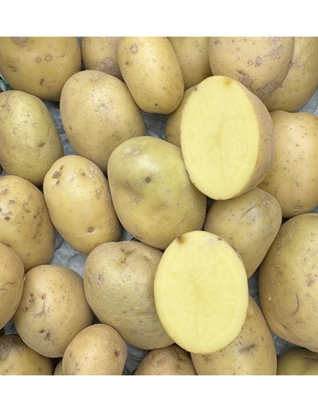 Acheter des Pommes de Terre Blanches Nouvelles en Ligne sur Tropitop