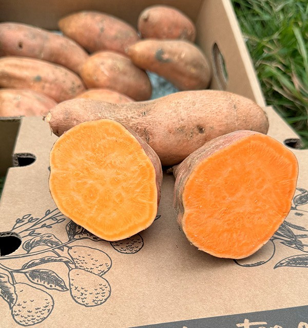 Acheter des Patates Douces en ligne sur Tropitop