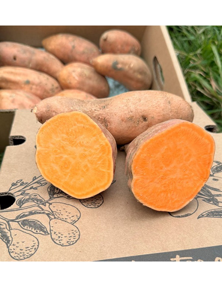 Acheter des Patates Douces en ligne sur Tropitop