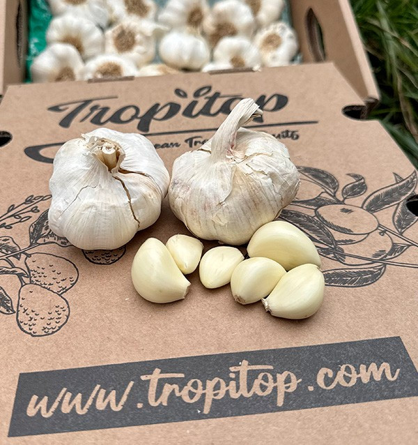 Kaufen Sie weißen Knoblauch online bei Tropitop