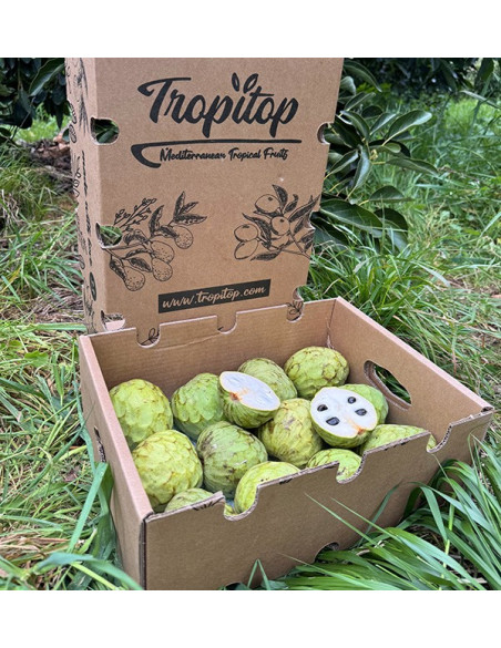 Acheter Chirimoya en ligne sur Tropitop