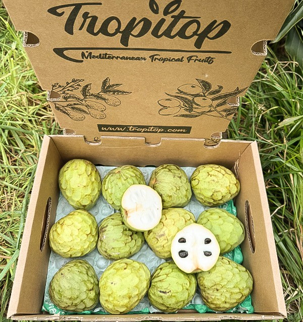 Comprar Chirimoya Online en Tropitop