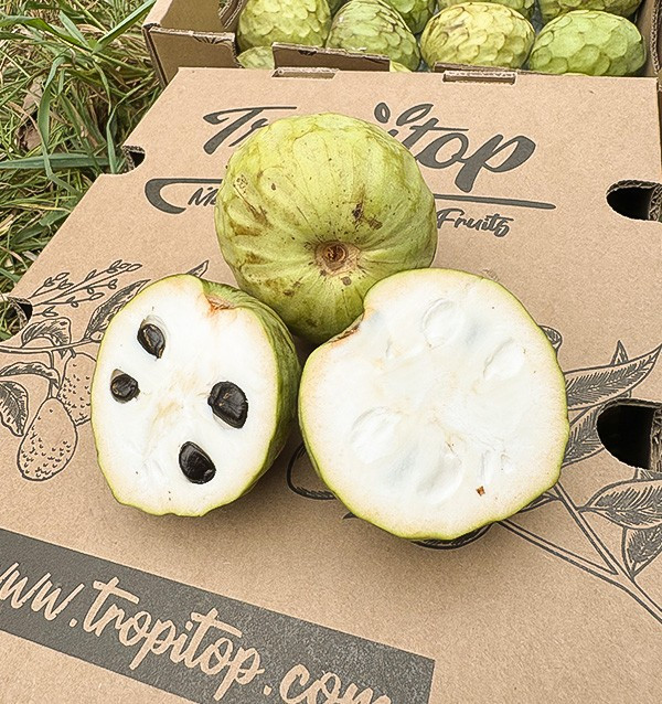 Comprar Chirimoya Online en Tropitop