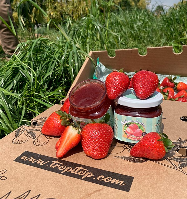 Buy Artisan Strawberry Jam | Tropitop