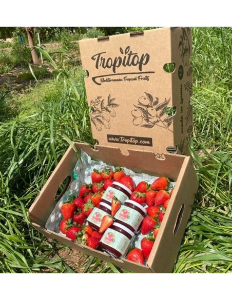 Compra Marmellata di Fragole Artigianale | TropitopTropitop