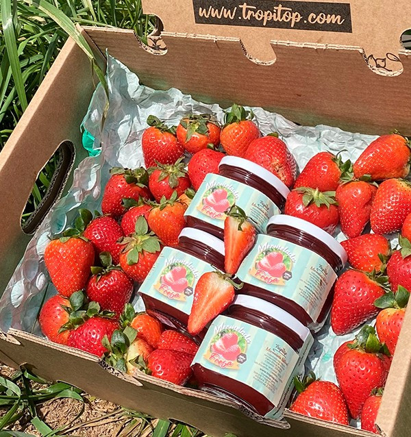 Comprar Geleia de Morango Artesanal | Tropitop