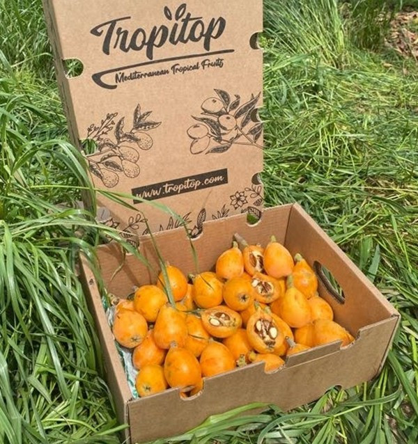 Acheter des nèfles en ligne sur Tropitop