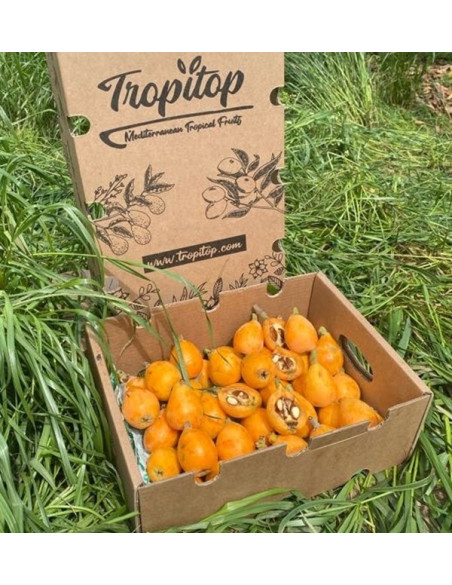 Comprar Nísperos Online en Tropitop