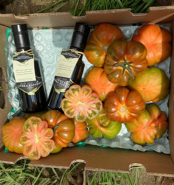 Acheter pack de tomates raf et huile d'olive