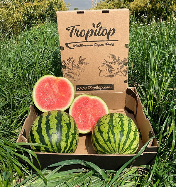 Comprar Melancia Rajada Online na Tropitop