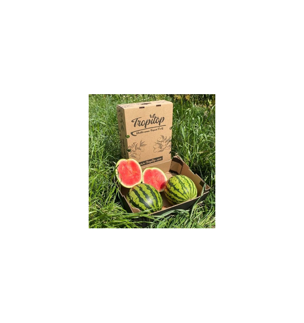 Buy Striped Watermelon Online at Tropitop