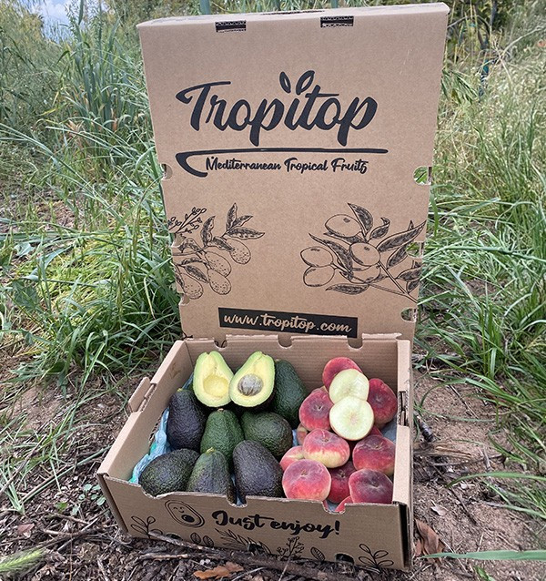 Buy Hass Avocados and Flat Peaches Online | Tropitop