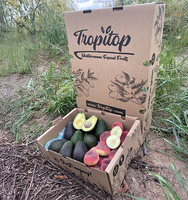 Hass-Avocados und Flachpfirsiche Online Kaufen | Tropitop 2
