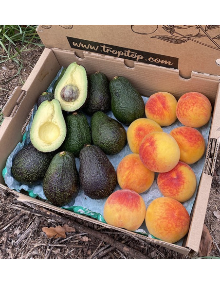 Comprar Aguacates Hass y Melocotón Amarillo Online en Tropitop