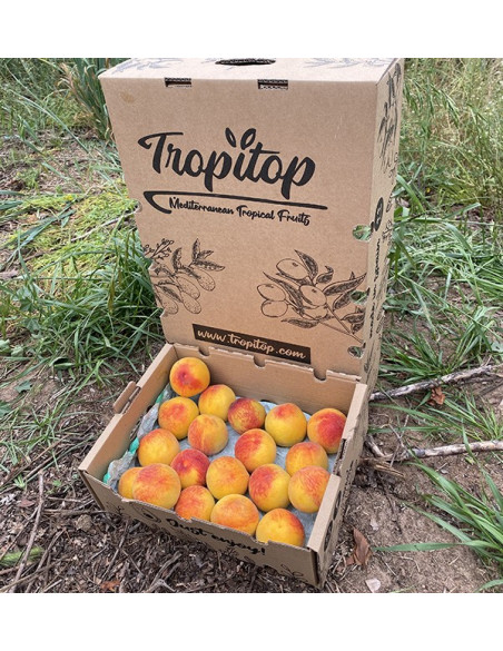 Acheter Pêches Jaunes en Ligne | Fruits de Saison Direct Producteur