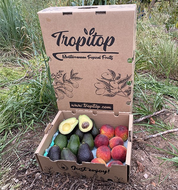 Comprar Abacates Hass e Pêssegos Vermelhos Online | Tropitop