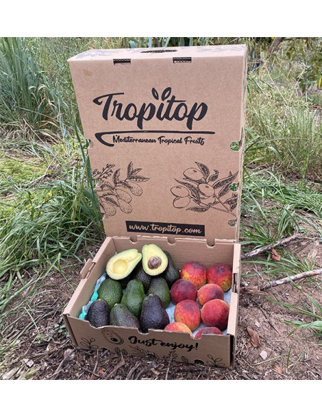 Acquista Avocado Hass e Pesche Rosse Online | Tropitop