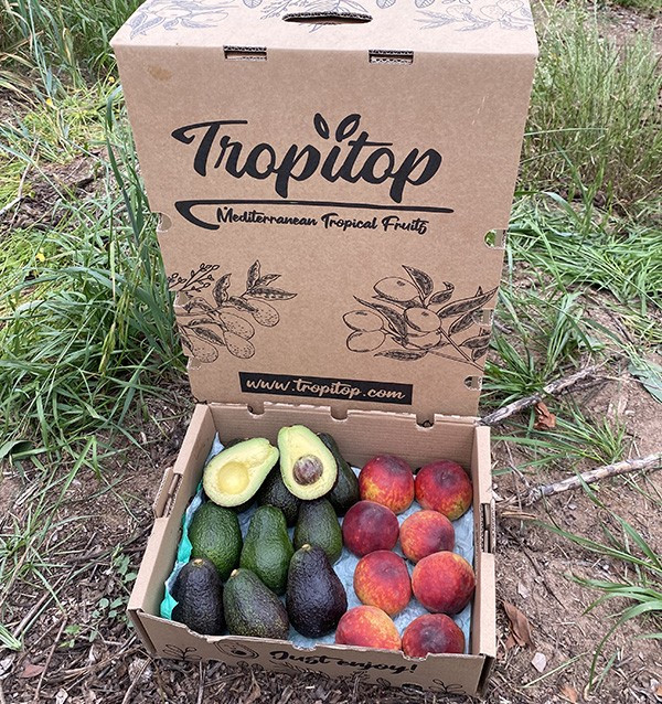 Comprar Aguacates Hass y Melocotón Rojo Online en Tropitop