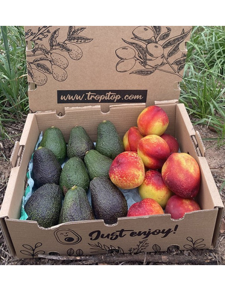 Comprar Aguacates Hass y Nectarinas Online en Tropitop