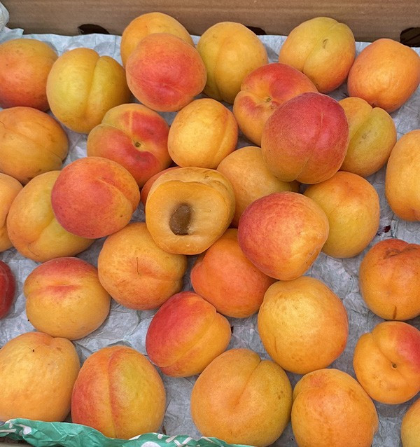Buy Apricots Online | Seasonal Fruit Direct from the Farmer