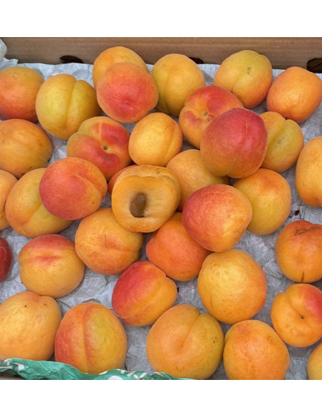 Comprar Damasco Online | Fruta da Época Direta do Produtor