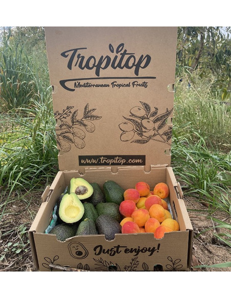Comprar Abacates Hass e Damasco Online | Tropitop