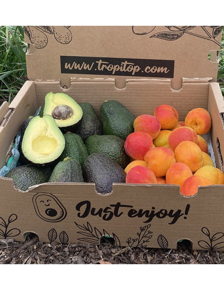 Acheter Avocats Hass et Abricots en Ligne | Tropitop