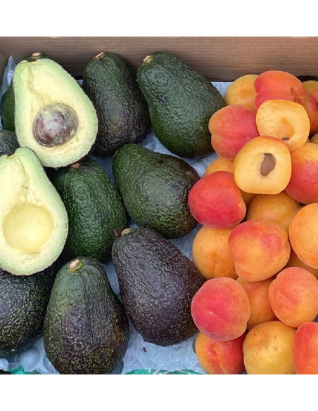 Acheter Avocats Hass et Abricots en Ligne | Tropitop