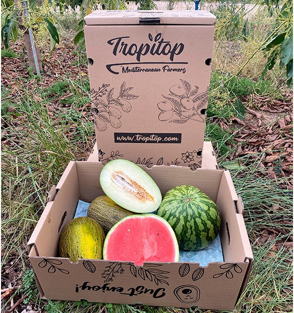 Gestreifte Wassermelone & Piel de Sapo Melonen online kaufen | Tropitop