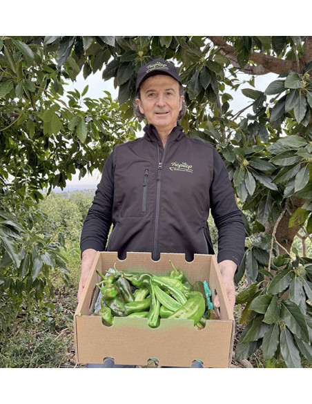 Acquista Peperoni Italiani Rossi Online su Tropitop