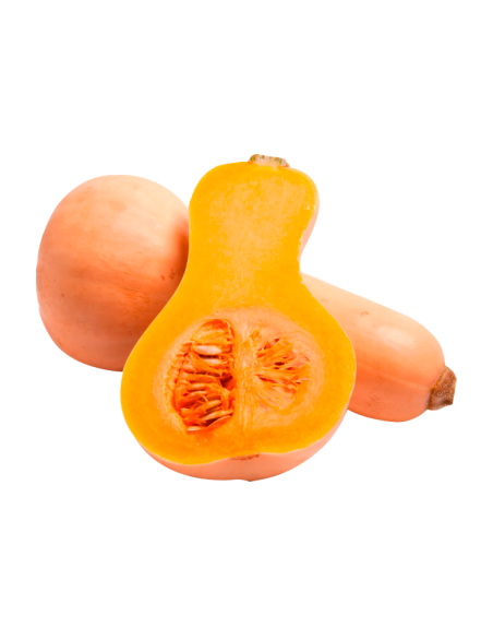 Comprar Abóbora Cacahuete Online na Tropitop