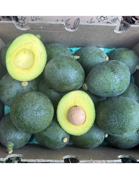 Comprar Aguacates Reed Online en Tropitop