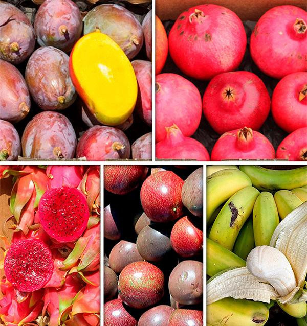 Saisonale Obstbox online bei Tropitop kaufen