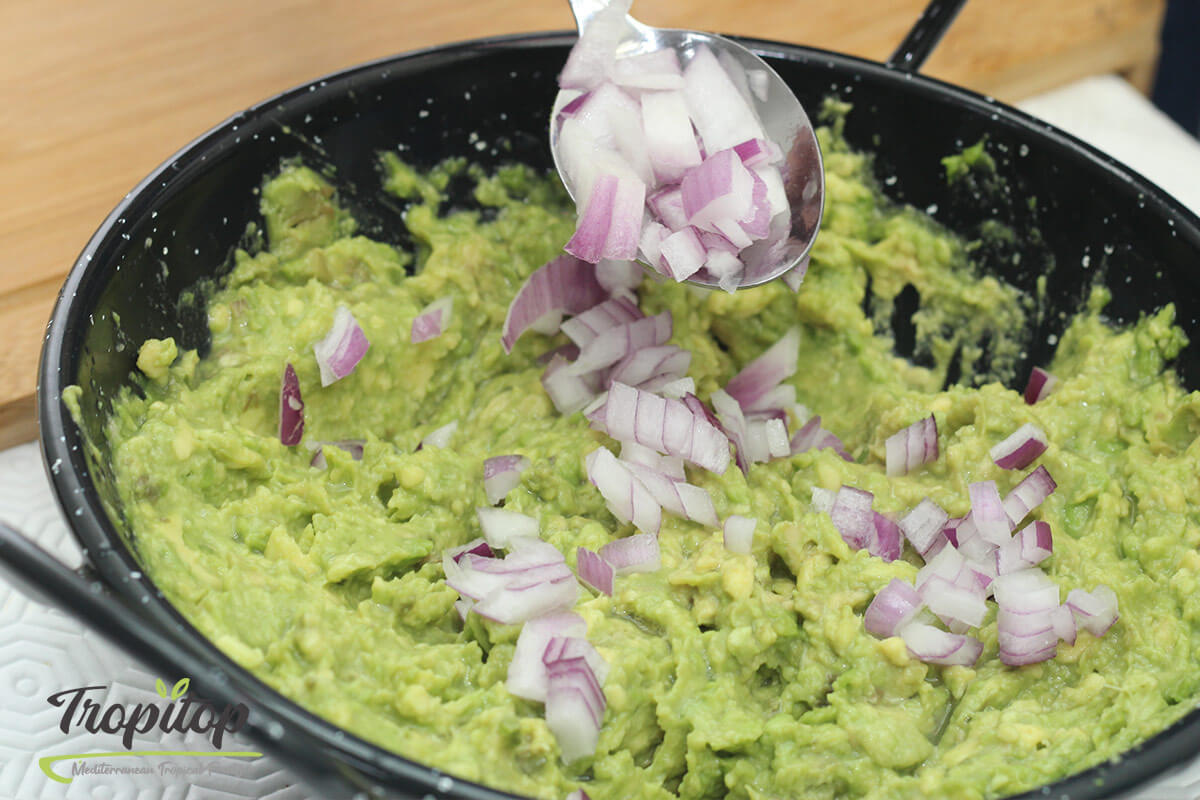 Guacamole Recipe - Steep4