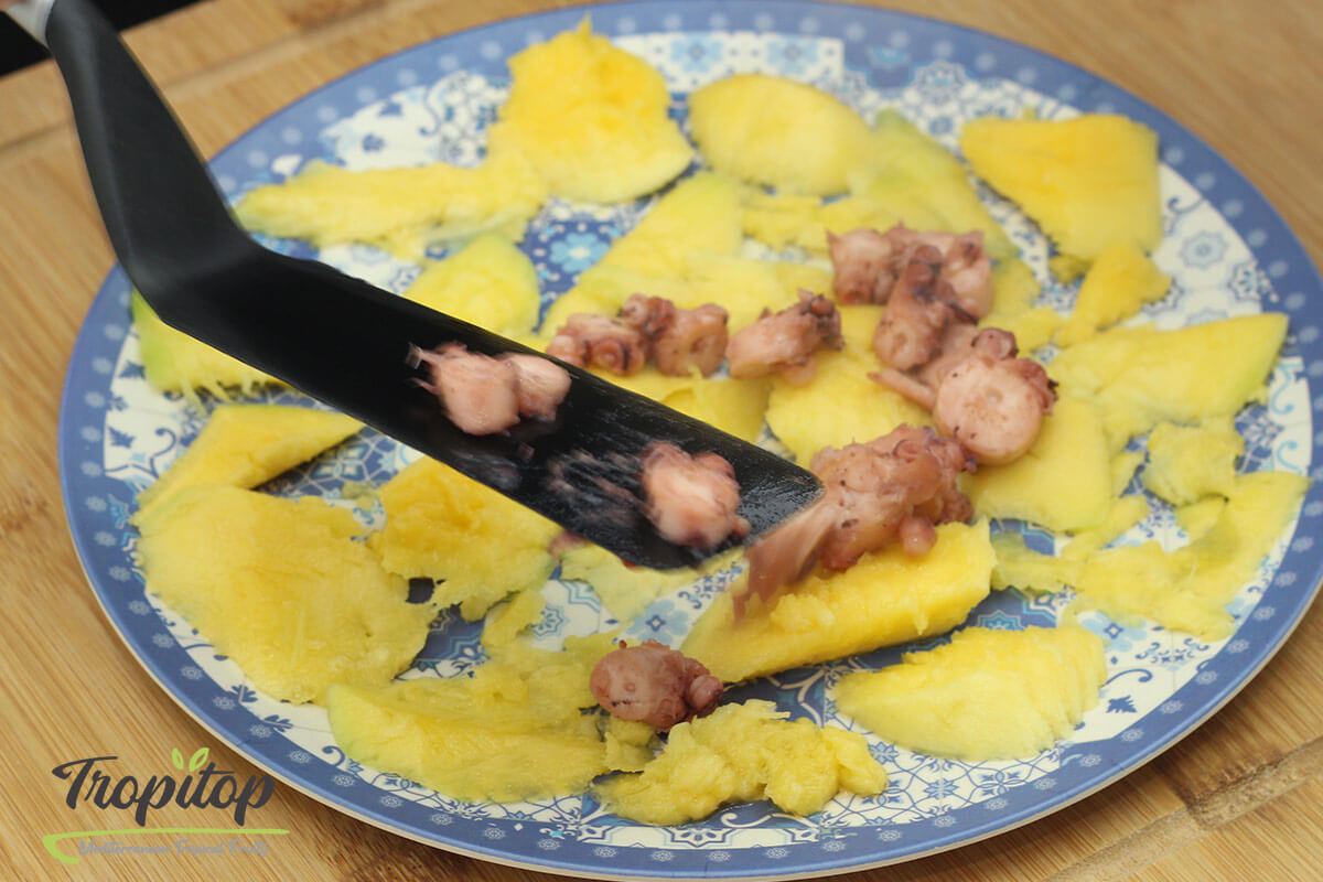 Tropical Octopus - Step 5